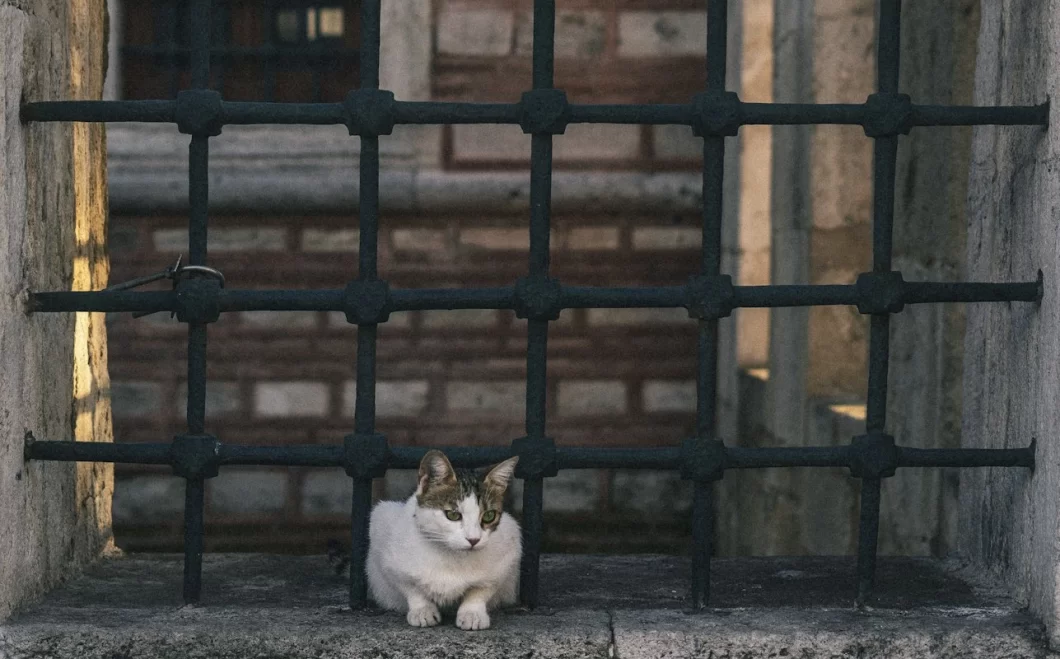 How Do You Know If You are in a Cage?